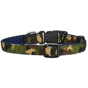 ^[L[ rr[hbO BD ʃJ[ S O[ ^p `10kg܂  yNbN|XgΉz