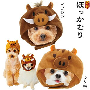 yAEgbg!z yeBI p ϐgقނ SEM CmVVEEV RX`[ RXv  ^`^p y󂠂z