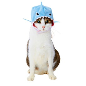 ペティオ 猫用 変身ほっかむり サメ コスチューム コスプレ 猫服