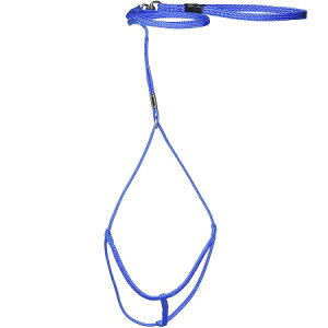 _ˍH[ ɂn[lX[h u[ `3kg܂ Lp  yNbN|XgΉz