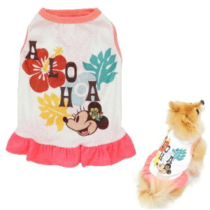 X[A[Y Disney ~j[}EX AnpC^Ns[X 2E3E3OE4E5 (SEMEMD-MELEXL) ^`^p  fBYj[ LL 2L