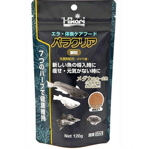 yAEgbgzL[ pNA  120g GE̕\PApz _J ^Mы  a t[h  y󂠂聦ܖF2025N2܂Łz