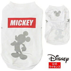 X[A[Y Disney ~bL[}EX VGbgtN^[ ^Ngbv zCg 3 (M) ^p  fBYj[