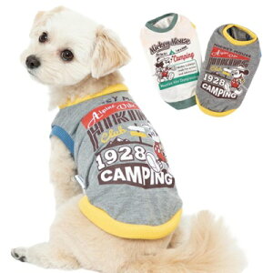 X[A[Y fBYj[ ~bL[ Lv^Ngbv 3E4E5 (MELEXL) O[ ^`^p  Disney LL 2L ~bL[}EX