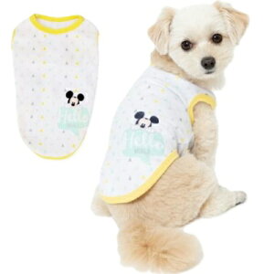 X[A[Y Disney ~bL[}EX pC^Ngbv CG[ 3 (M) ^p  fBYj[