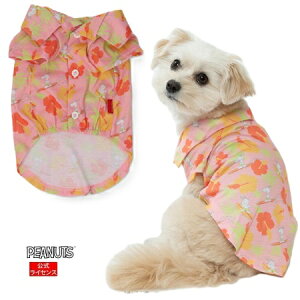 X[A[Y PEANUTS Xk[s[ AnVc sN 3O (MD-M) ~j`A_bNX ^`^p  s[ibc SNOOPY