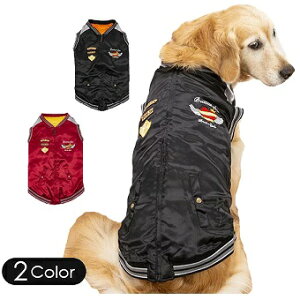 ||[X XJW 9 bhEubN ^p  R[Euh[go[