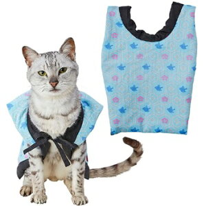 yeBI L  񂿂 璹Ɖ M u[ L Lp yNbN|Xg230~!!z