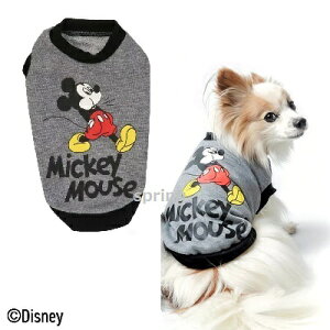 X[A[Y fBYj[ ~bL[ N[ g[i[ 2E3E3OE4E5 (SEMEMD-MELEXL) O[ ^`^p  Disney LL 2L