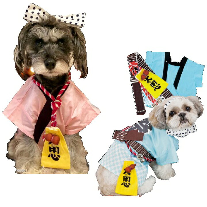 楽天市場 ポンポリース 祭 はんてんセット 6号 サックス ピンク 小型犬 中型犬用 犬服 2l 3l 祭り ハッピ ハンテン ペットの雑貨屋さん Spring