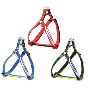 yeBI Style Trainer XvbVn[lX L ^p  ubNEbhEu[