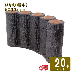 y20{Zbgz5AsA[`^Cv H200T| [؂͂Ȃ80 5AsA[`^Cv H200 20Zbg