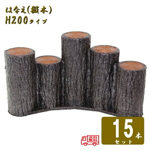 ()y15{Zbgz5AiႢA[`^Cv H200T| [؂͂Ȃ80 5AiႢA[`^Cv H200 15Zbg
