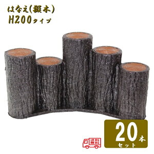 ()y20{Zbgz5AiႢA[`^Cv H200T| [؂͂Ȃ80 5AiႢA[`^Cv H200 20Zbg