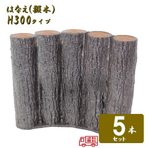 ()y5{Zbgz5AsA[`^Cv H300T| [؂͂Ȃ80 5AsA[`^Cv H300 5Zbg