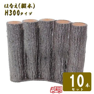 ()y10{Zbgz5AsA[`^Cv H300T| [؂͂Ȃ80 5AsA[`^Cv H300 10Zbg