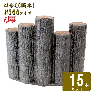 ()y15{Zbgz5AiႢA[`^Cv H300T| [؂͂Ȃ80 5AiႢA[`^Cv H300 15Zbg