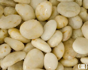 �m������ �N���X�^���X�g�[���@�z���C�g �i15kg�j10�܃Z�b�g�y���������z