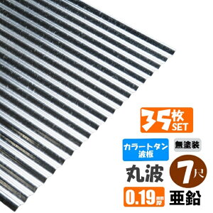 ij(@lElƎijl菤i)~s@J[g^g@۔g@7ځi2130mmj@݁F0.19mm@35Zbg@J[Fihj@iEzBws