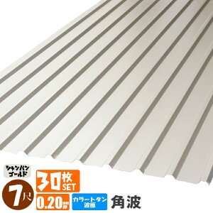 ij(@lElƎijl菤i)~s@J[g^g@pg@7ځi2130mmj@݁F0.20mm@30ZbgJ[FVpS[hiEzBw