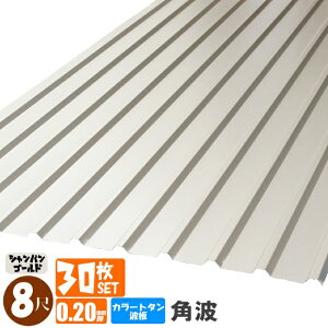 ij(@lElƎijl菤i)~s@J[g^g@pg@8ځi2430mmj@݁F0.20mm@30ZbgJ[FVpS[hiEzBw