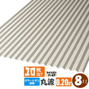 ij(@lElƎijl菤i)~s@J[g^g@۔g@8ځi2430mmj@݁F0.20mm 10ZbgJ[FVpS[hiEzBws