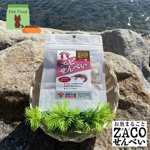 ijтׂ@n[tTCY@1܁@{Y@e10g ybg@@L@@RHi@@taHi