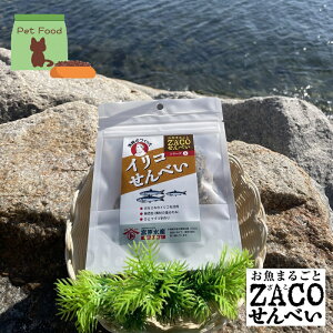 ijCRׂ@n[tTCY@1܁@{Y@LY@e10g ybg@@L@@RHi@@taHi