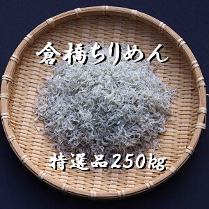 Yn@݁@LY@q߂@Ii@250g@肱@킵@Y@{Y