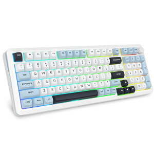 �y10/21�`10/23���聚7,900�~�ȏ��800�~OFF�N�[�|���ze���f Z-98���C�����X���J�j�J���L�[�{�[�h BT/�L��/2.4G 3�ڑ��Ή� �e���L�[�t��98�L�[ �⎲ Windows/Mac�ɑΉ� �p��z��