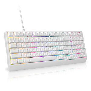 HUOJI �Q�[�~���O�L�[�{�[�h USB�L�� ���J�j�J�� �É��Ԏ� �e���L�[�t�� �p��z�� �m�u�t�� �T�C�h���� LED�o�b�N���C�g �Q�[�~���O/�I�t�B�X Windows/Mac�Ή� (�z���C�g)