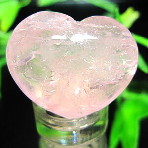 yVR n[gz[YNI[c@n[g`@/NA[[Y//u  N@F N VR p[Xg[ ANZT[