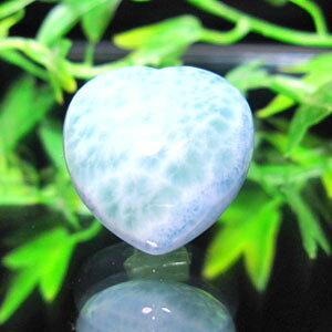 yVR n[gz}[@n[g`@/u  N@F N VR p[Xg[ ANZT[