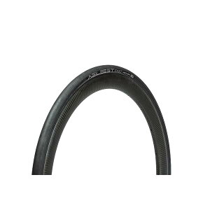�p�i���[�T�[(Panaracer) �A�W���X�g FAST 700×28C �N�����`���[ �� F728-AGF-B