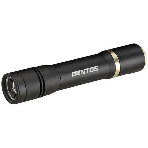 GENTOS(�W�F���g�X) �����d�� LED���C�g �[�d��(��p�[�d�r) ���� 900���[���� ���N�V�[�h RX-486PB
