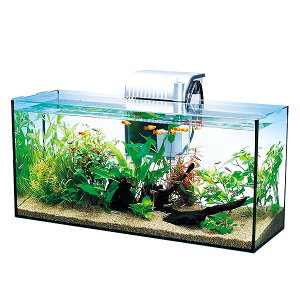 水槽 120cm ガラス水槽」の人気商品一覧・価格比較 - 価格.com