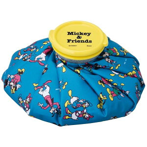 �X�P�[�^�[(Skater) �X�̂� �A�C�X�o�b�O M �X�X �f�B�Y�j�[ �~�b�L�[&�t�����Y 23 21cm ICB2-A