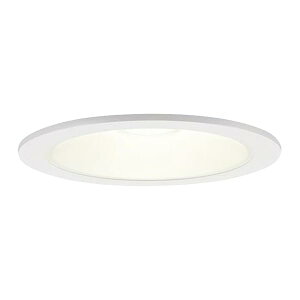 �p�i�\�j�b�N(Panasonic) LED �_�E�����C�g �V�䖄���^ 60�` 125�a�d���F LSEB5125LE1