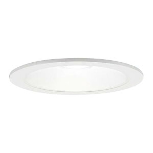 �p�i�\�j�b�N(Panasonic) �_�E�����C�g �����F ��^8H�E���C��SB�`�E�g�U�^�C�v LSEB5124LE1