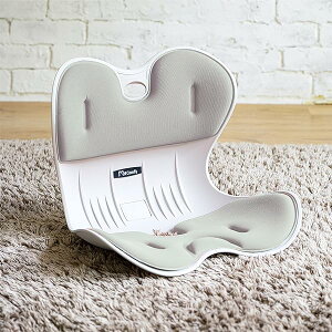 �h���[���E�F�A(Dream Ware) ���ՃT�|�[�g�`�F�A M �p���T�|�[�g�`�F�A �̈����U My Comfy ���C�g