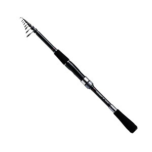 �_�C��(DAIWA) �U��o�����A�[���b�h CROSSBEAT SW 666TUL �ނ��