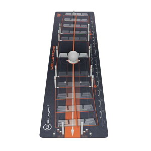�E�F���p�b�g(Wellputt) Well stroke Arc 12 �I�����W