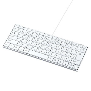 �T�����T�v���C �L��USB�X�����L�[�{�[�h �e���L�[���� �p���^�O���t 85�L�[���{��109A�z�� �z