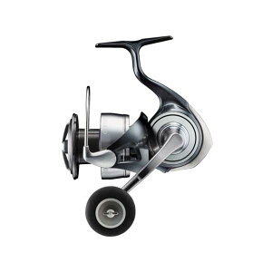 �_�C��(DAIWA) �X�s�j���O���[�� 24�Z���e-�g LT5000D-CXH (2024�N���f��)