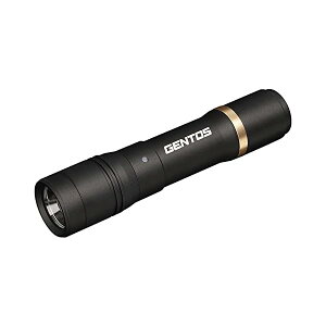 GENTOS(�W�F���g�X) �����d�� LED���C�g �[�d�� 200-900���[���� ���N�V�[�h RX-285R/RX-286R/RX-304R/RX-386R/RX-486PB