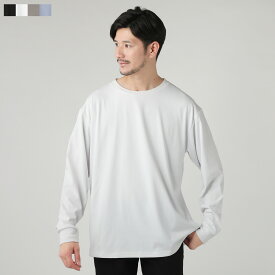 カットソー Tシャツ メンズ メンズファッション 長袖 春 夏 秋 冬 春服 夏服 秋服 冬服 オールシーズン クルーネック ルーズ ルーズシルエット ストレッチ 伸縮性 ブラック ホワイト グレー ブルー S M L XL