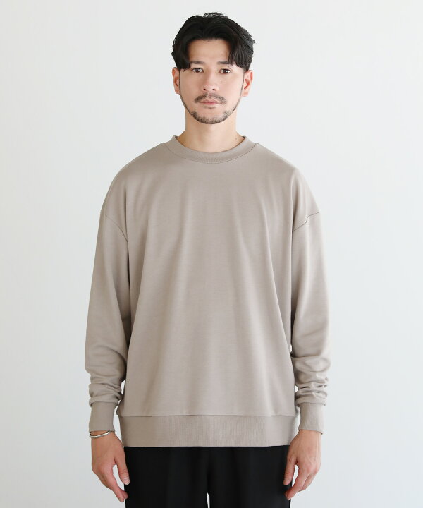 楽天市場】スウェット プルオーバー メンズ 秋 秋服 春 春服 TC  