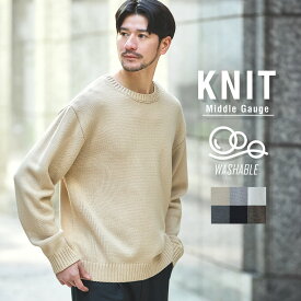 【SALE20】 ニット クルーネックニット メンズ 春 春服 秋 秋服 冬 冬服 春ニット ウォッシャブル 5G アクリル オーバーサイズ クルーネック 長袖 無地 ブラック グレー アイボリー M L XL 【返品交換不可】
