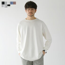 カットソー Tシャツ トップス メンズ 春 春服 長袖 ハイポンチ クルーネック ストレッチ 伸縮性 ドレープ 無地 ボーダー 切り替え シンプル ドロップショルダー ホワイト ブラック ブルー グレー ベージュ マリンボーダー M L XL SPU スプ