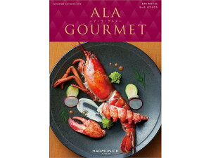 n[jbN J^OMtg AEEO L[C y12,100~iōjR[Xz4523291029230